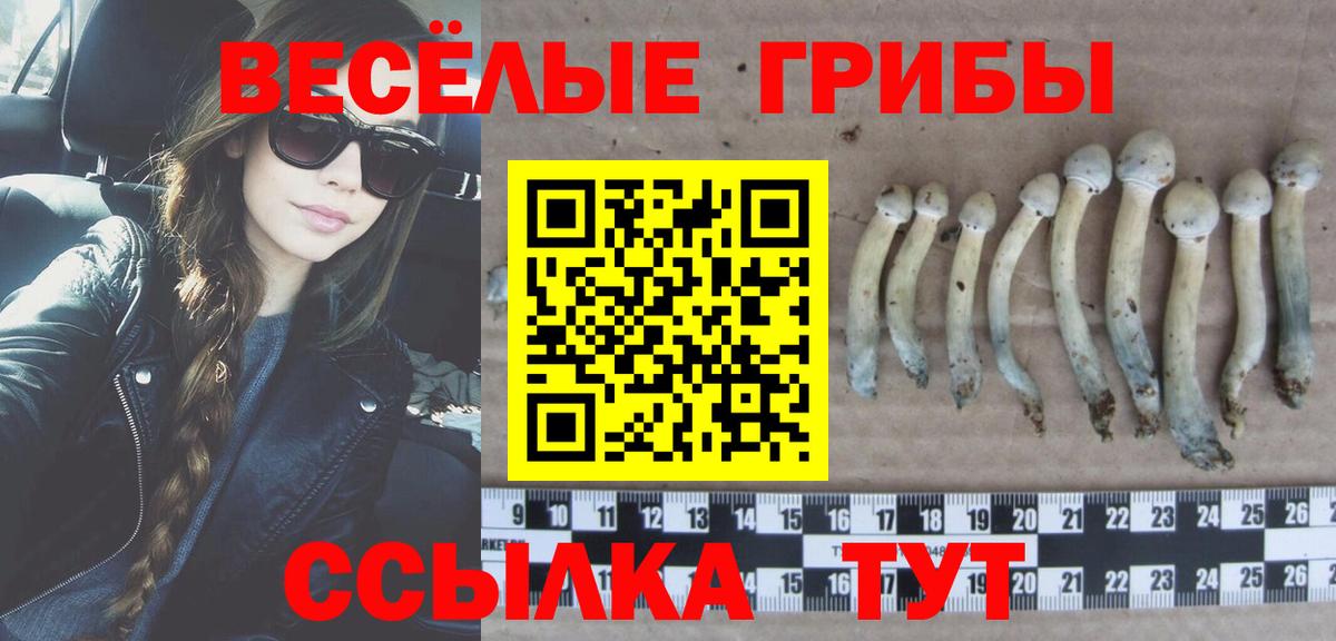 Бор  где можно купить   Вход с VPN  Галлюциногенные грибы прущие грибы 