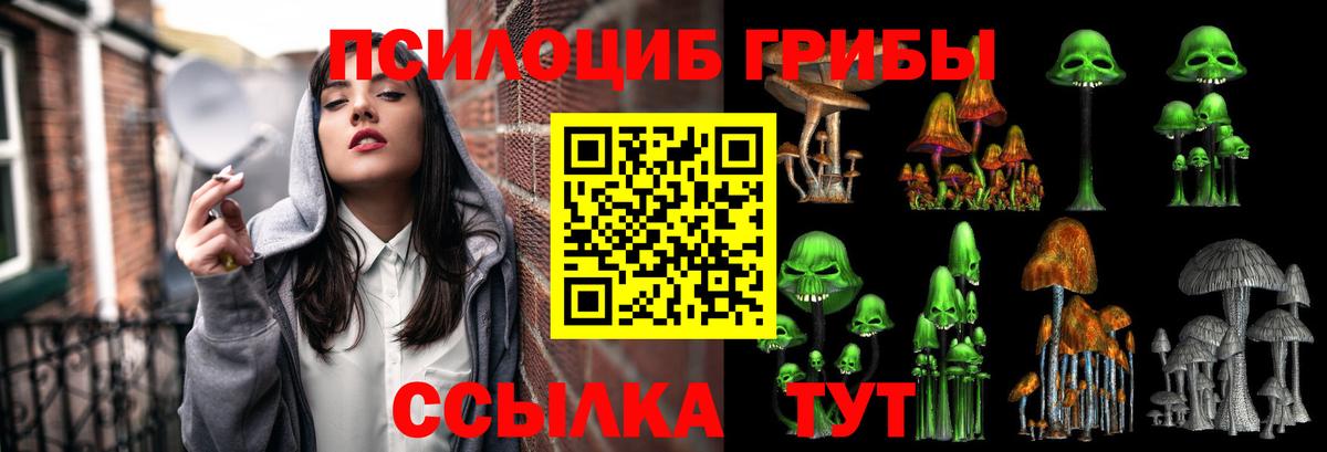 Галлюциногенные грибы MAGIC MUSHROOMS Бор